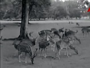 Konferensi Pers Presiden Sukarno dan Jendral Suharto di Istana Bogor tgl 4 oktob