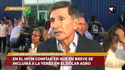 En el INYM confían en que en breve se incluirá a la yerba en el dólar agro