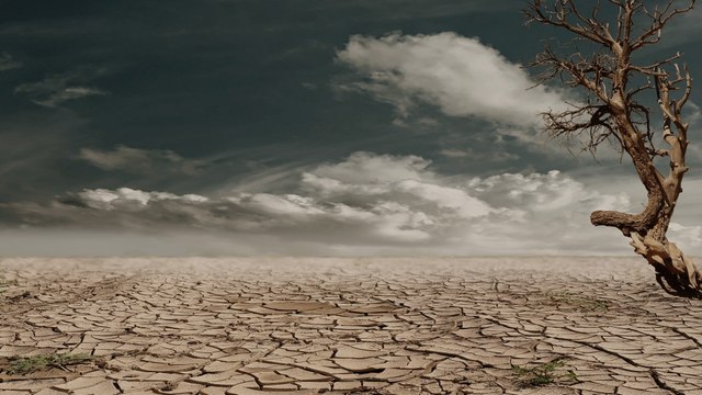 “Los países del mundo que todavía no se han desarrollado no están preocupados por el cambio climático”: Manuel Fernández