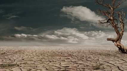 “Los países del mundo que todavía no se han desarrollado no están preocupados por el cambio climático”: Manuel Fernández
