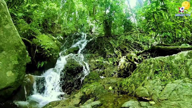 Mindfulness Meditation Music for Sleep - Calming Music to Help You Relax and Sleep Better