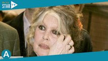 Brigitte Bardot : “Dès qu’elle approche, il hurle…”, sa relation compliquée avec son fils unique Nic
