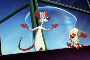 Pinky and the Brain Pinky and the Brain S03 E048 Just Say Narf