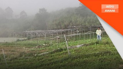 KPKM teliti masalah lambakan di Lojing