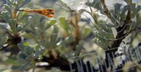 The Living Bible S01 E08