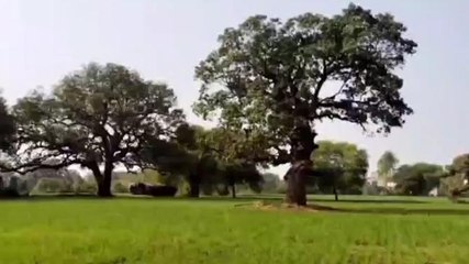 विदिशा: मौसम में लगातार हो रहे बदलाव के आगे मौसम विशेषज्ञों के सारे अनुमान फेल