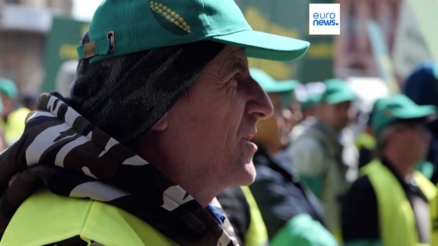 Grano ucraino, gli agricoltori dell'Europa dell'Est in difficoltà: I corridoi ci danneggiano