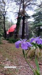 St. John's Church Mecleodganj | Dharamshala Guide