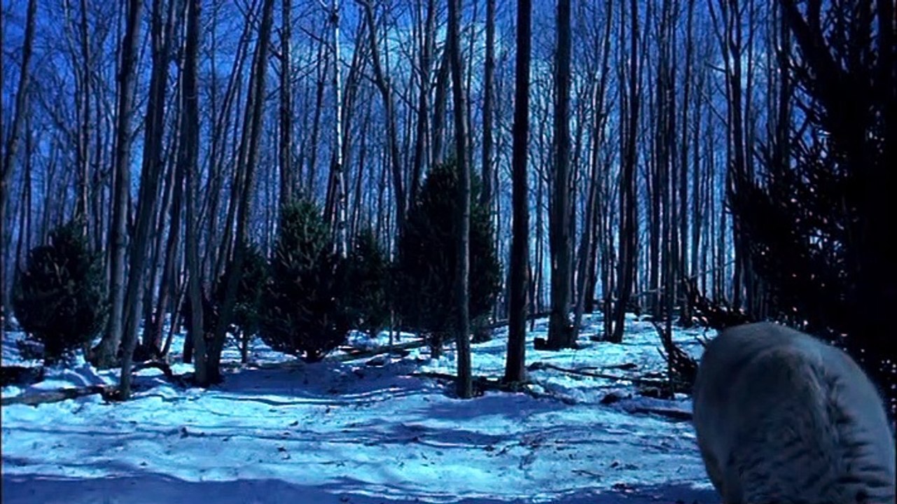 El Regreso de Prancer 2001 Español Latino - Prancer Returns