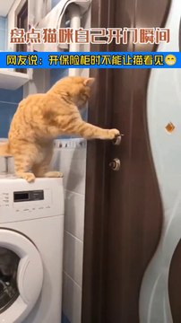 pets lover-Animal lover Funniest Animals 2023 Funny Cats and Dogs | Funny Animal Videos #15