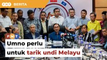 Pengaruh Umno penting dalam kerajaan, perlu untuk tarik undi Melayu, kata penganalisis