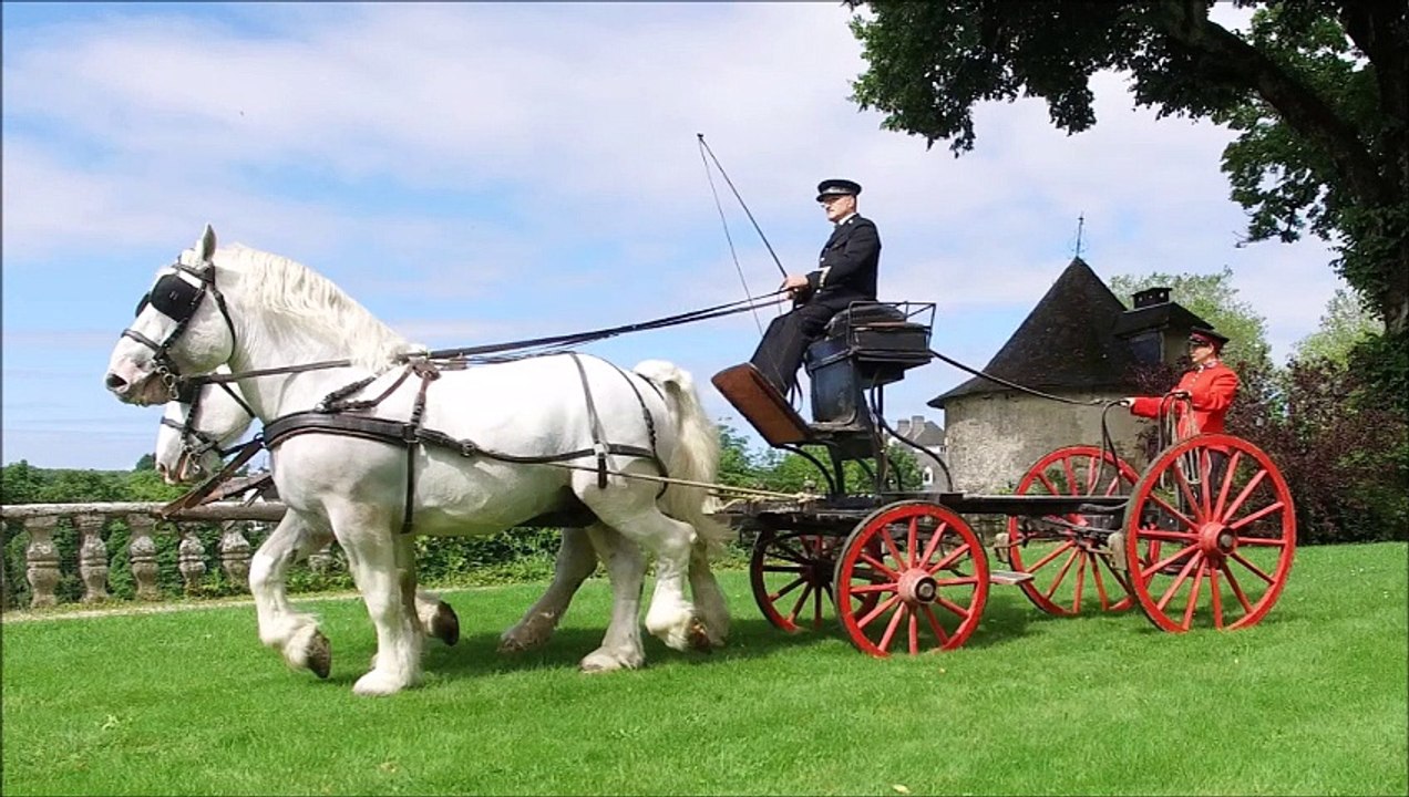 Hippomobile
