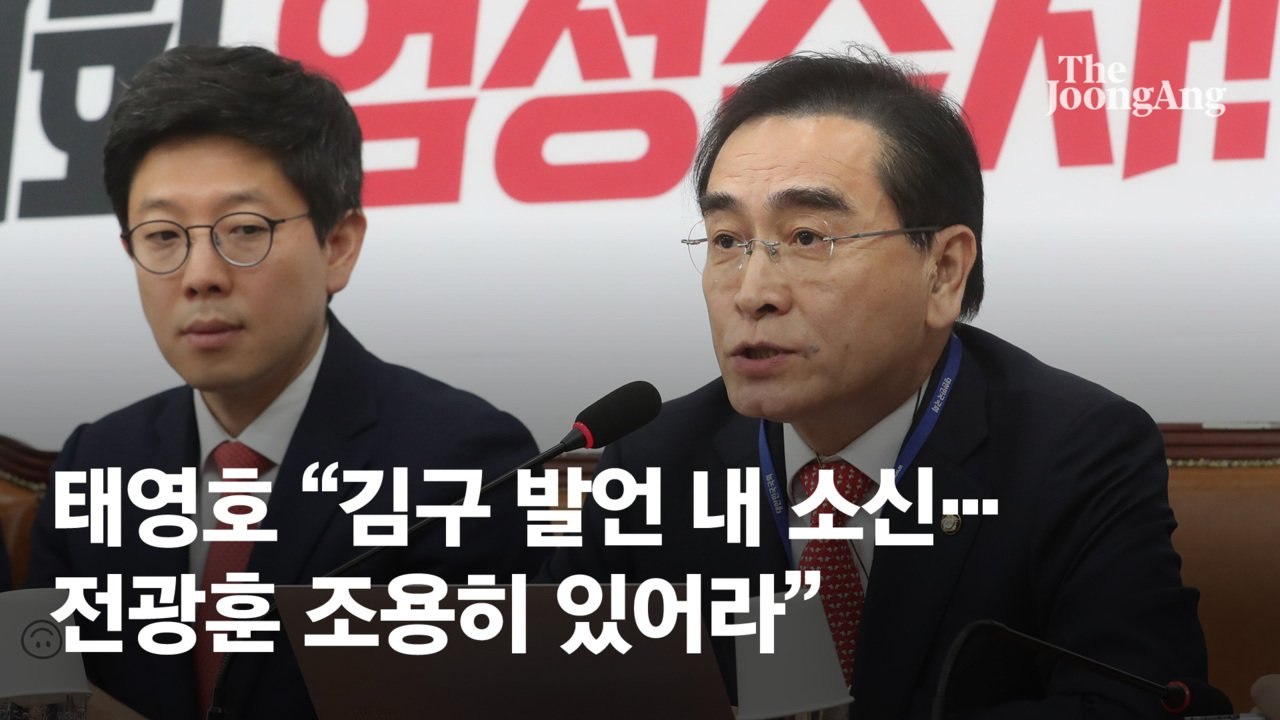 태영호 "김구 발언 내 소신···내가 간첩? 전광훈 조용히 있어라"