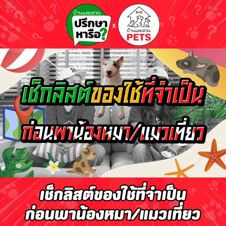 บ้านและสวนปรึกษาหารือ เช็กลิสต์พาหมาแมวเที่ยว
