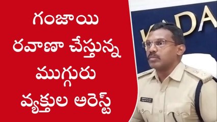వైయస్సార్ జిల్లా: గంజాయి విక్రయంపై ఉక్కుపాదం... ముగ్గురు అరెస్ట్