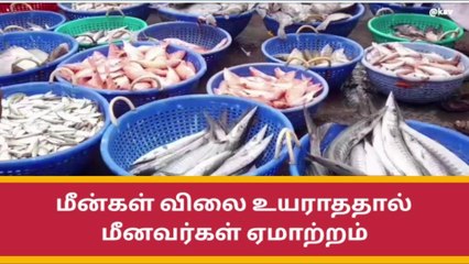 ராமநாதபுரம்: மீன்கள் விலை குறைவு-மீனவர்கள் ஏமாற்றம் !
