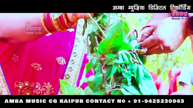 बिहाव गीत - अलका परगनिहा - BIHAV NEWTA - MADAWA CHAWANI - MAUR SAUPANI - ALKA CHANDRAKAR BIHAV GEET