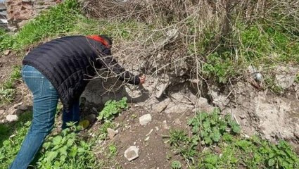 Скачать видео: İznik'te Bizans dönemine ait mezar ve insan kemikleri bulundu