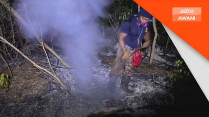 Cuaca panas punca lima hektar hutan terbakar