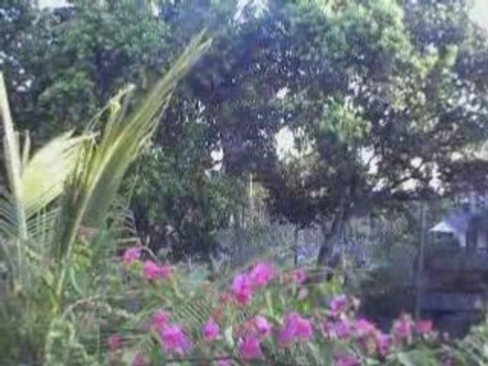 Dernier jour au paradis