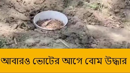 রাণীনগর: আবারও ভোটের আগে বোম উদ্ধার