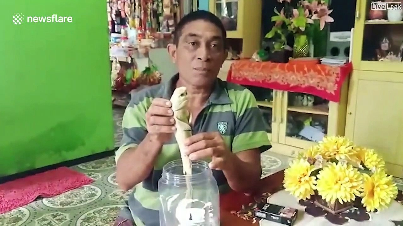 Il découvre un bébé requin au visage humain