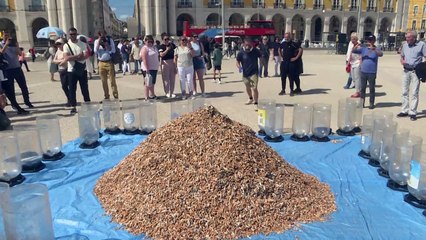 ناشطون بيئيون في لشبونة يجمعون أعقاب السجائر لزيادة الوعي بهذه الملوثات