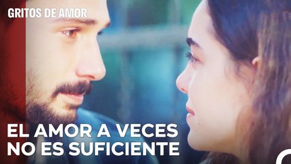 Ada y Yusuf No Pueden Estar Juntos - Gritos de Amor Capitulo 8