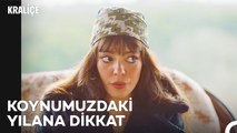 Zeynep Düşmanının Evine Sızıyor  - Kraliçe 5. Bölüm