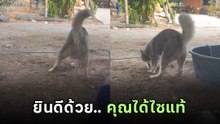 คนเลี้ยงไซเจออะไรบ้าง.. เจ้าของถ่ายให้ดูจะจะ วัดเท่านั้นคือทางออก