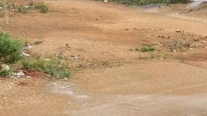 ఆర్మూర్: జిల్లాలో ఉరుములు, మెరుపులతో మోస్తారు వర్షం..!