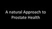Sylvie Beljanski and Dr. John Hall_ A Natural Approach to Prostate Health