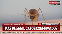 Alerta dengue: ya son más de 56 mil los casos personajes