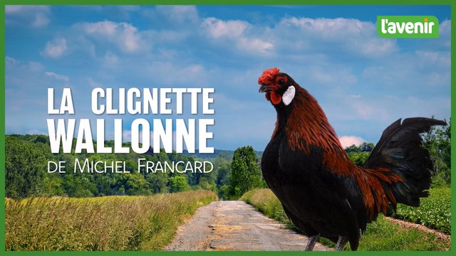La clignette wallonne de Michel Francard