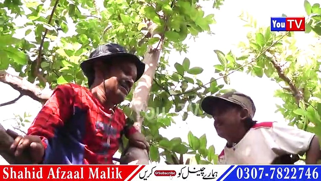 Chotu Chawani Athaani Dill To Pagal Hy 2 Funny Video - By shahid 67