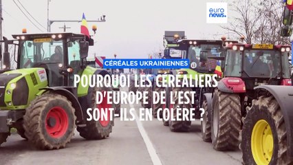Céréales ukrainiennes : pourquoi les agriculteurs d'Europe de l'Est sont-ils en colère ?