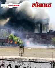 नागपूरच्या एका कंपनीत लागलेल्या आगीचे भयाण दृश्य पाहा