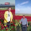 Gelinciklerin arasında video çeken Gülen Ergen'e arazi sahibi tepki gösterdi