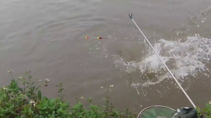 Amazing Fishing Moments You Can't Miss 🎣