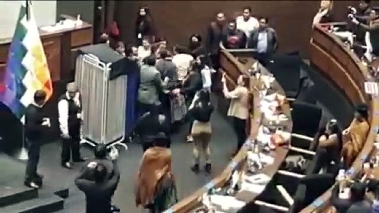 pelea ley del oro