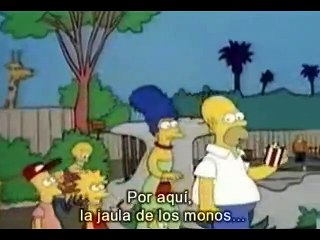 Los Simpsons - Temporada 0 - Cap  29