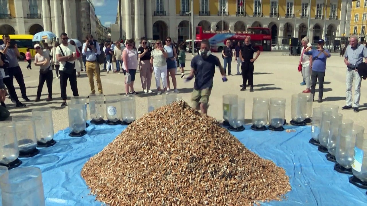 Ekliger Kippenberg in Lissabon soll aufrütteln