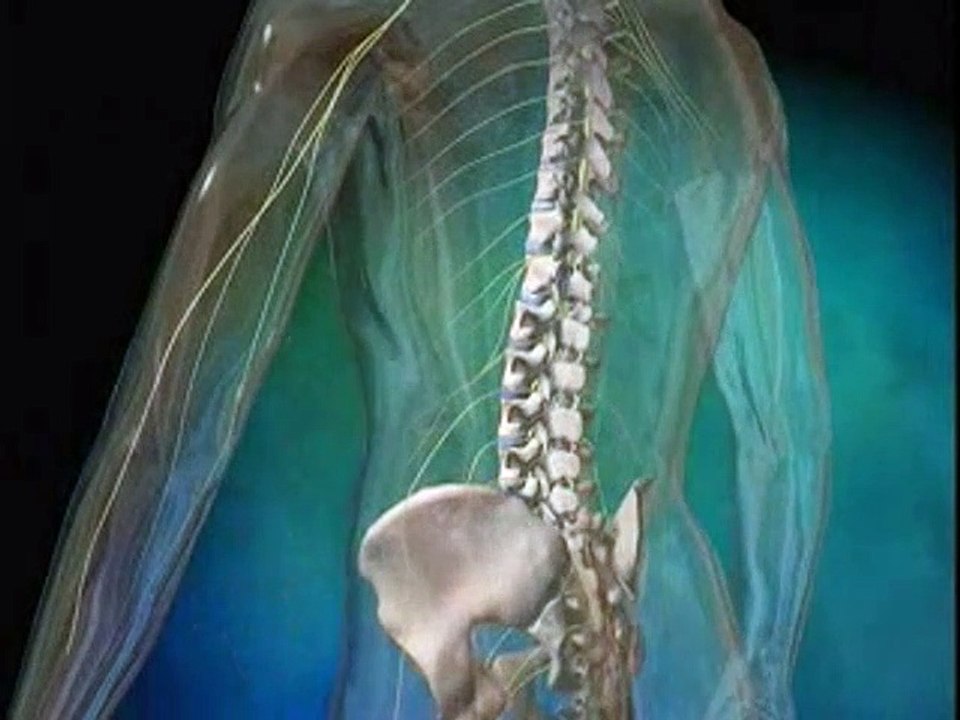 Boli degenerative ale discului intervertebral