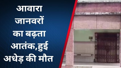 बहराइच: आवारा सांड के हमले ने छीनी एक और जिंदगी, देखिए रिपोर्ट