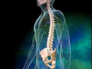 Fuziunea coloanei vertebrale