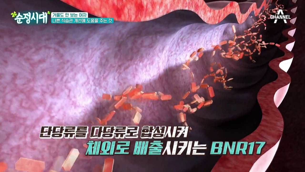 다이어트의 비밀은 유산균?! 배변 활동을 돕고 유해균 억제를 돕는 유산균의 비밀은?