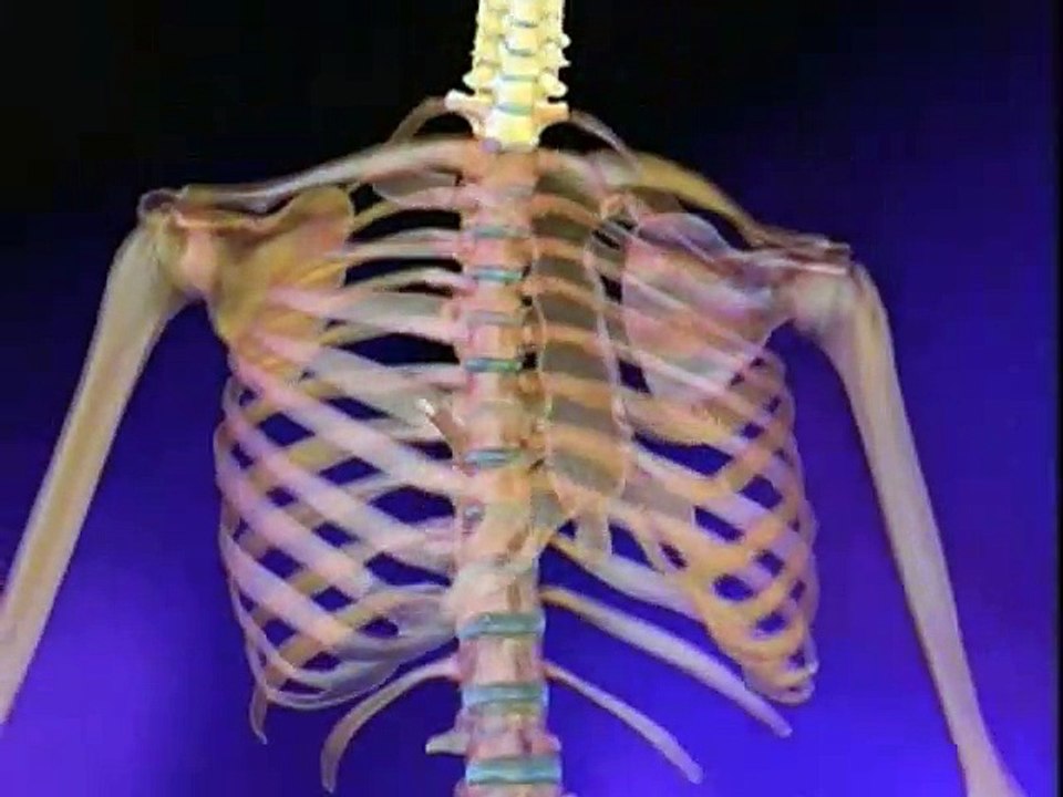 Fuziuni vertebrale