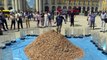 WATCH: Climate activists in Portugal build huge pile of cigarette butts