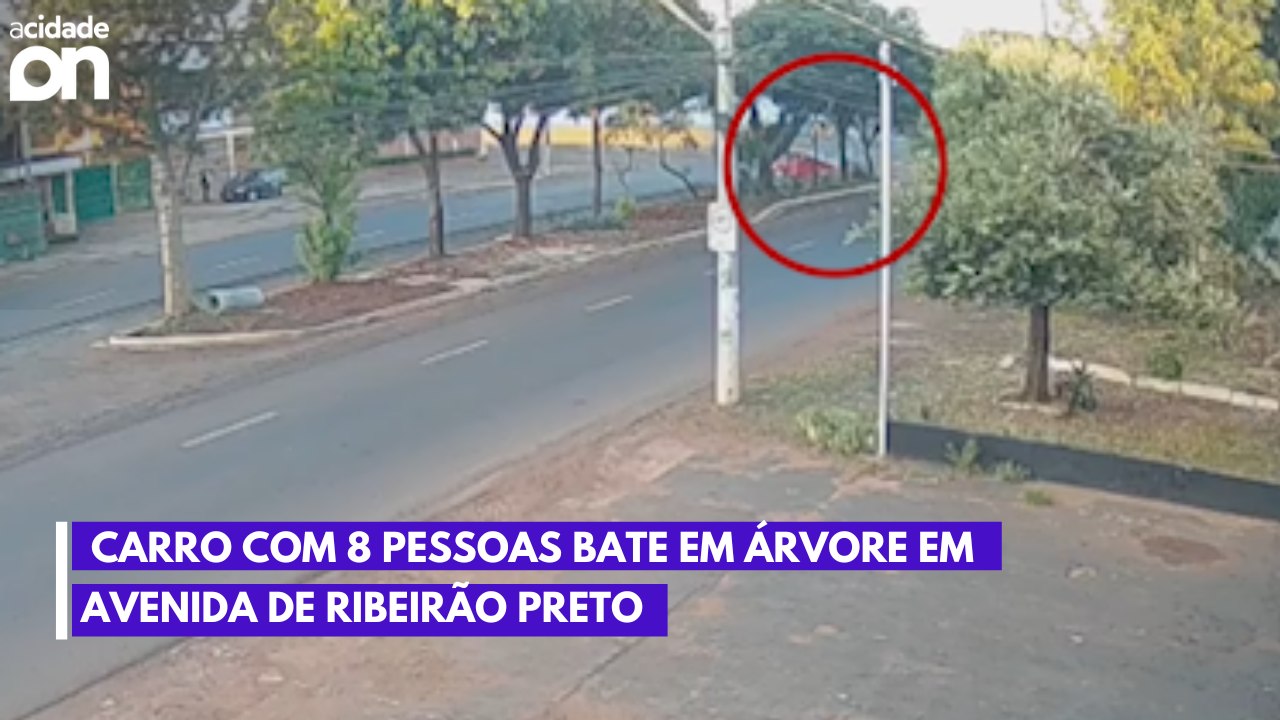 Carro com 8 pessoas bate em árvore em avenida de Ribeirão Preto