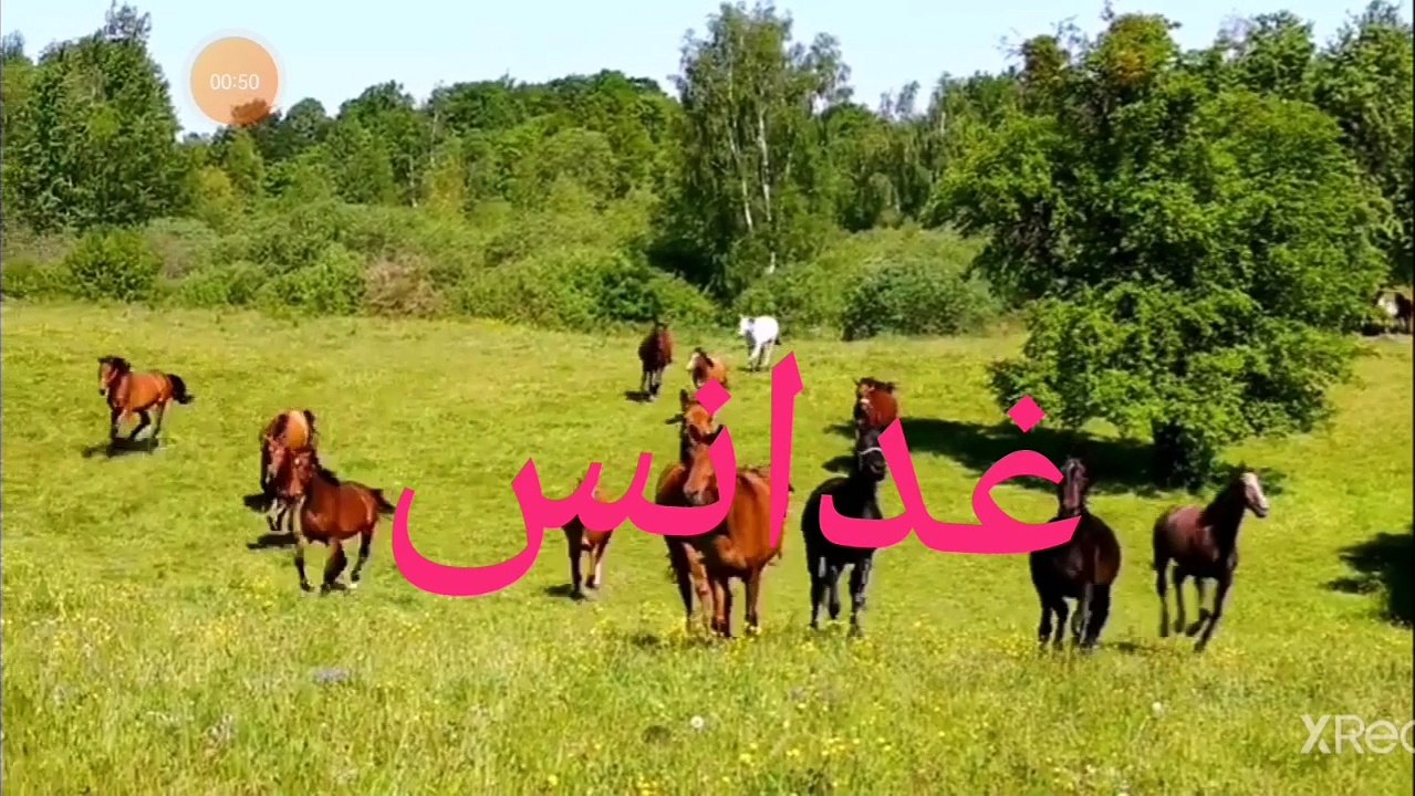 نقي قلبك لبن النوق الحامض والصحة مع الجسم